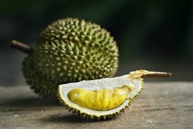 Kotzfrucht: So schmeckt die Dschungelcamp-Frucht