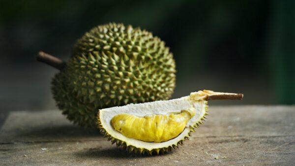 Kotzfrucht: So schmeckt die Dschungelcamp-Frucht 43 Kotzfrucht