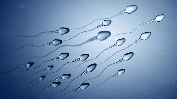 Sperma