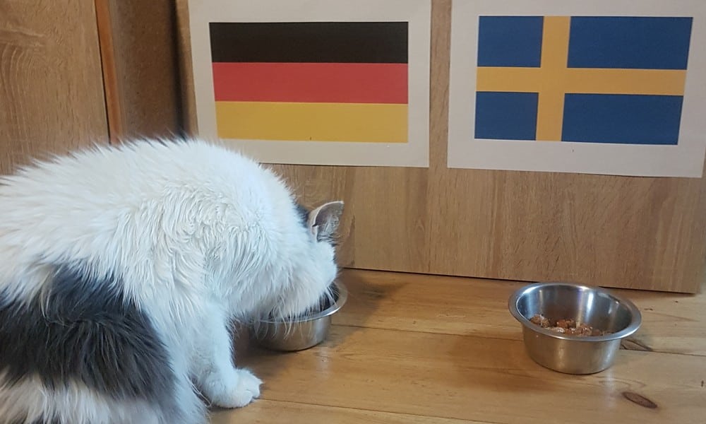 NEWS 44 BILD kukksi