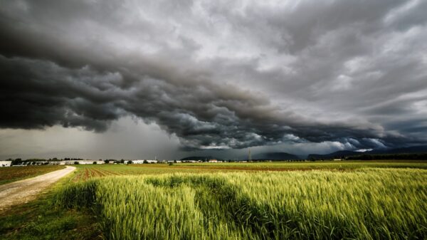 Sturm