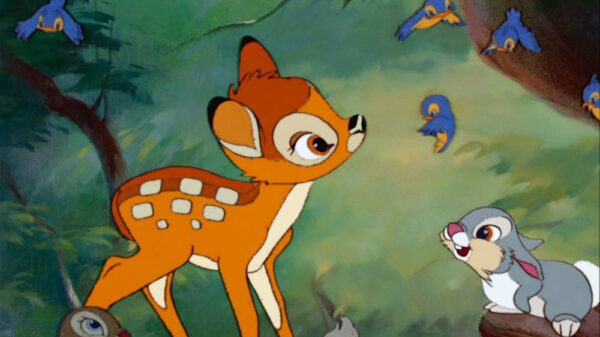 BAMBI bmi key01h X
