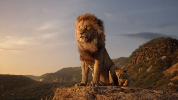 Disney 15 BILD Disney