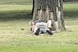 Public Sex in Berlin: Paar treibt es in der Hasenheide 64 Public Sex in Berlin: Paar treibt es in der Hasenheide