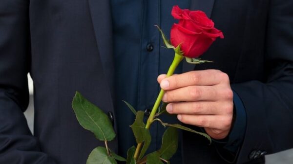 KU 2014 SLIDE940 TV RTL Der Bachelor 2017 1 BILD RTL Tom Clark