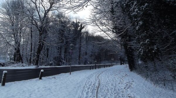 NEWS NE 10 Winter BILD kukksi