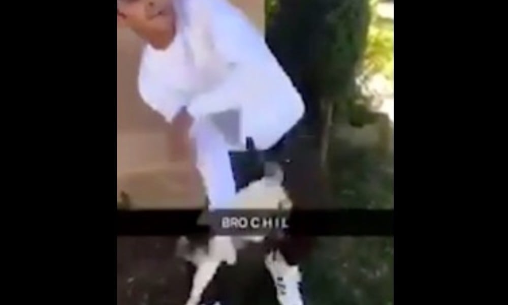 NEWS NE 17 Tierquäler Teenie BILD Instagram