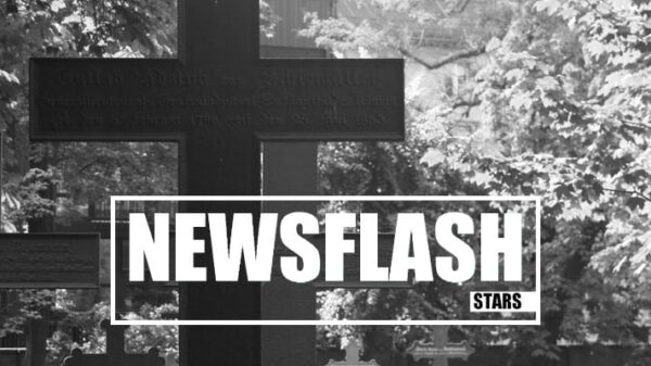 Newsflash Stars 6