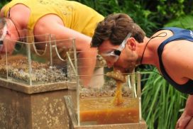Dschungelcamp 2017: Das Netz macht sich über Honey lustig! 68 Dschungelcamp 2017: Das Netz macht sich über Honey lustig!