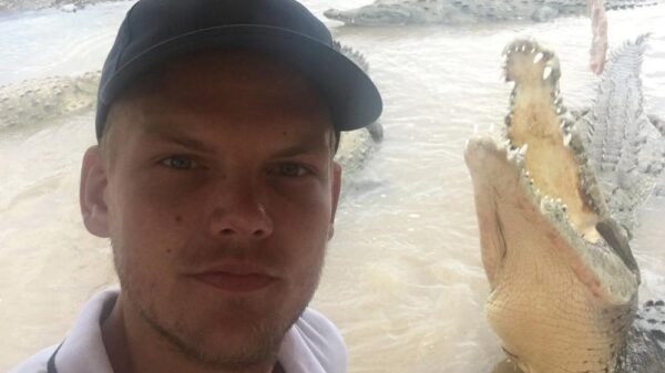 STARS 250 Avicii BILD Facebook