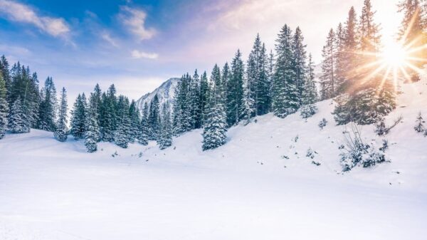 Schnee