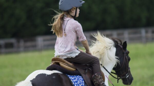 St 118 Pony BILD iStock