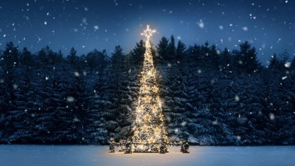 St 138 Winter BILD iStock