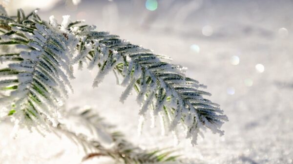 St 140 Schnee BILD iStock