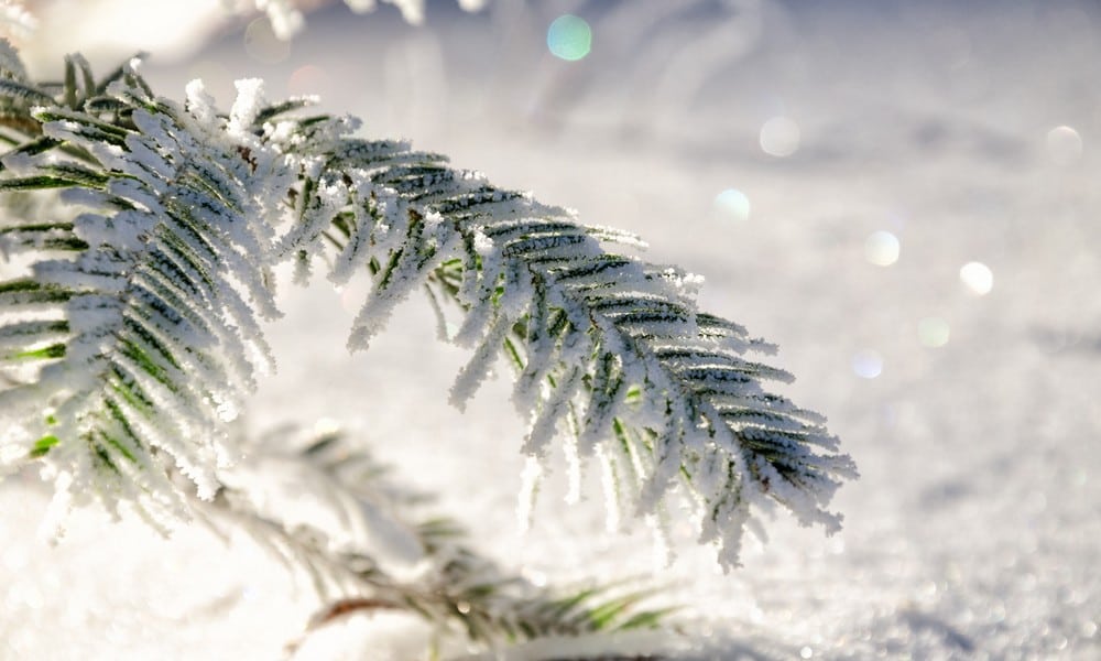 St 140 Schnee BILD iStock