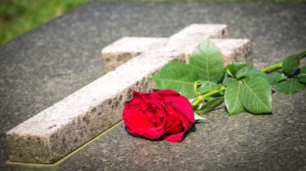 St 215 tot BILD iStock
