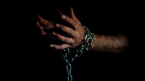 St 229 Mord BILD iStock