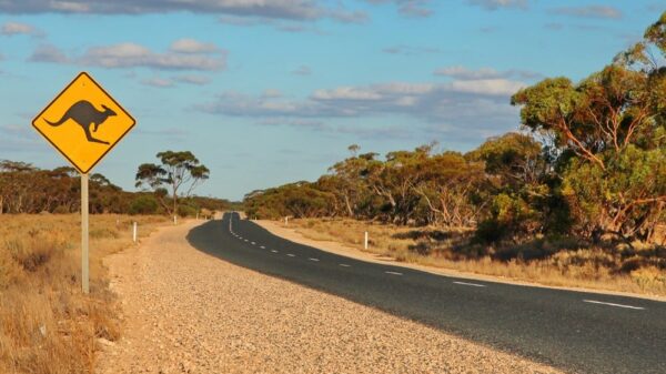 St 235 Outback Australien BILD iStock