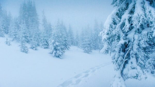 St 245 Schnee BILD iStock
