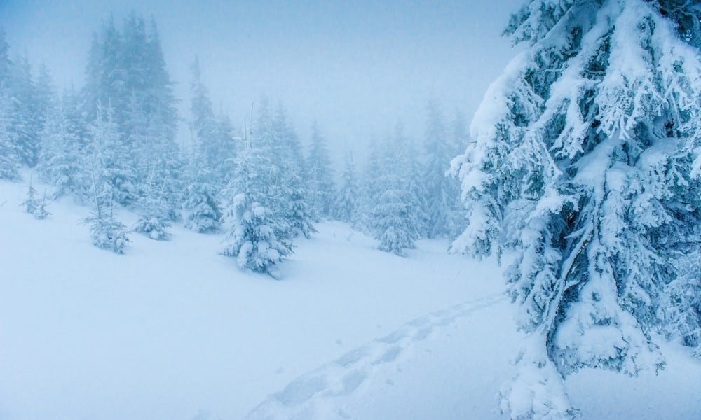 St 245 Schnee BILD iStock