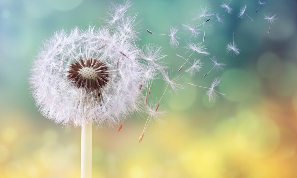 St 247 Frühling BILD iStock