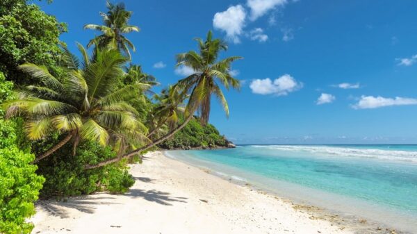 St 306 Bali BILD iStock
