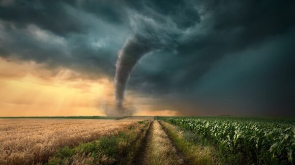 St 315 Tornado BILD iStock