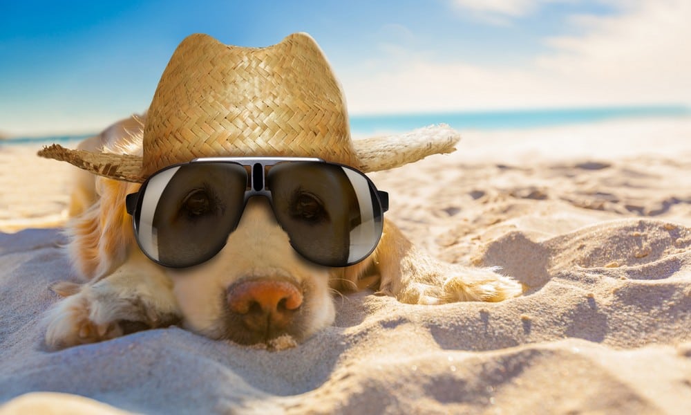 St 392 BILD iStock