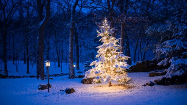 St 483 Weihnachten Schnee BILD iStock
