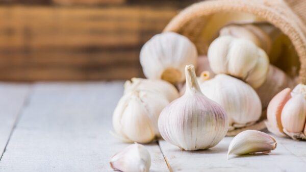 St 661 BILD iStock