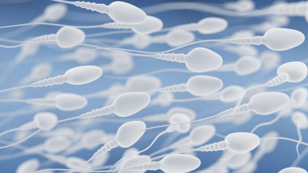 St 67 Sperma BILD iStock