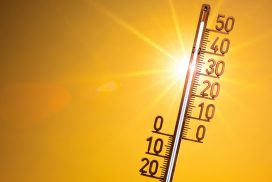 41 Grad? So eine extreme Hitzewelle gab es noch nie! 72 41 Grad? So eine extreme Hitzewelle gab es noch nie!