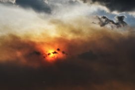 Sahara-Hitze kommt: Es drohen Blutgewitter! 73 Sahara-Hitze kommt: Es drohen Blutgewitter!