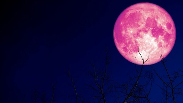 St 697 BILD iStock