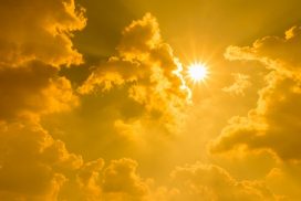 40 Grad: Brutale Wüsten-Hitze erreicht Deutschland 73 40 Grad: Brutale Wüsten-Hitze erreicht Deutschland