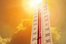 Hitze-Horror: Bald 46 Grad in Deutschland? 70 Hitze-Horror: Bald 46 Grad in Deutschland?