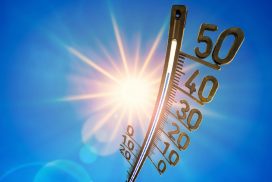Bis 42 Grad! Gefährliche Hitzewelle kommt auf uns zu 68 Bis 42 Grad! Gefährliche Hitzewelle kommt auf uns zu