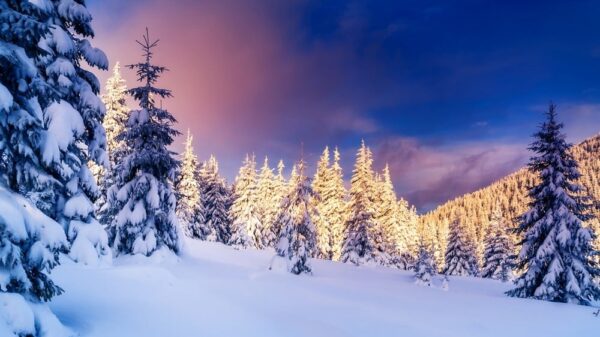 Winter Schnee