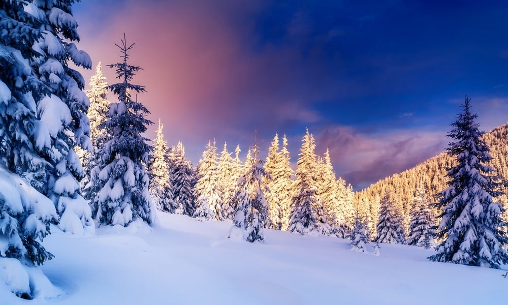 Winter Schnee