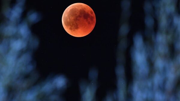 blutmond 3