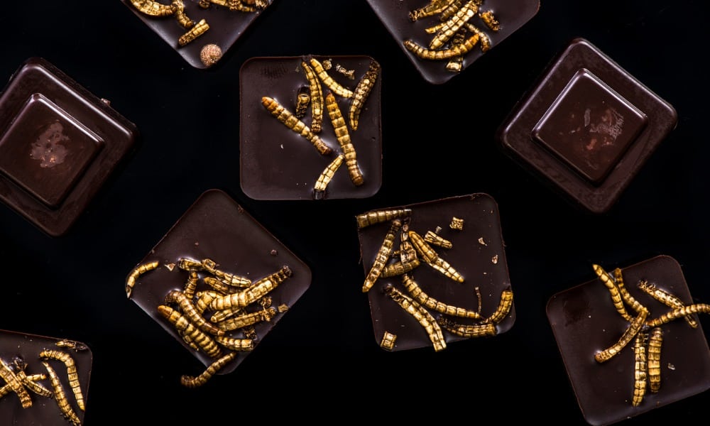 chocolate with edible worms culinary trends picture id921759554