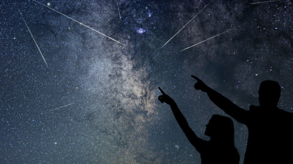 iStock 826077456