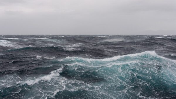 meer
