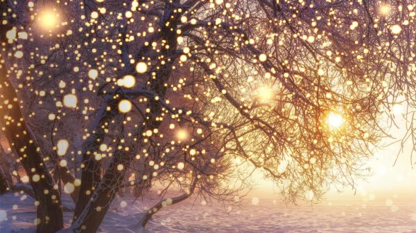 Schnee zu Weihnachten