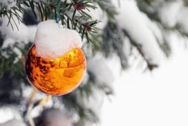 Krasser Wetter-Schock zu Weihnachten! 70 Krasser Wetter-Schock zu Weihnachten!