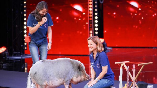 Henriette, Schwein "Idefix" und Julia bei "Das Supertalent"