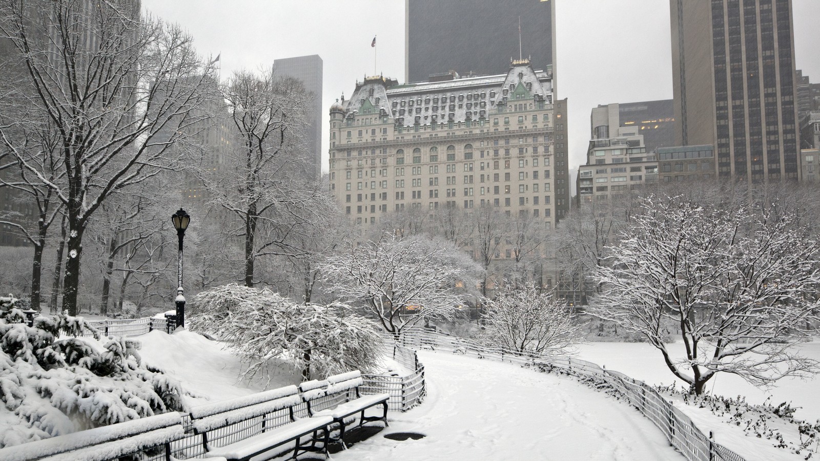 The Plaza Hotel