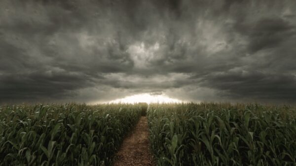 Sturm