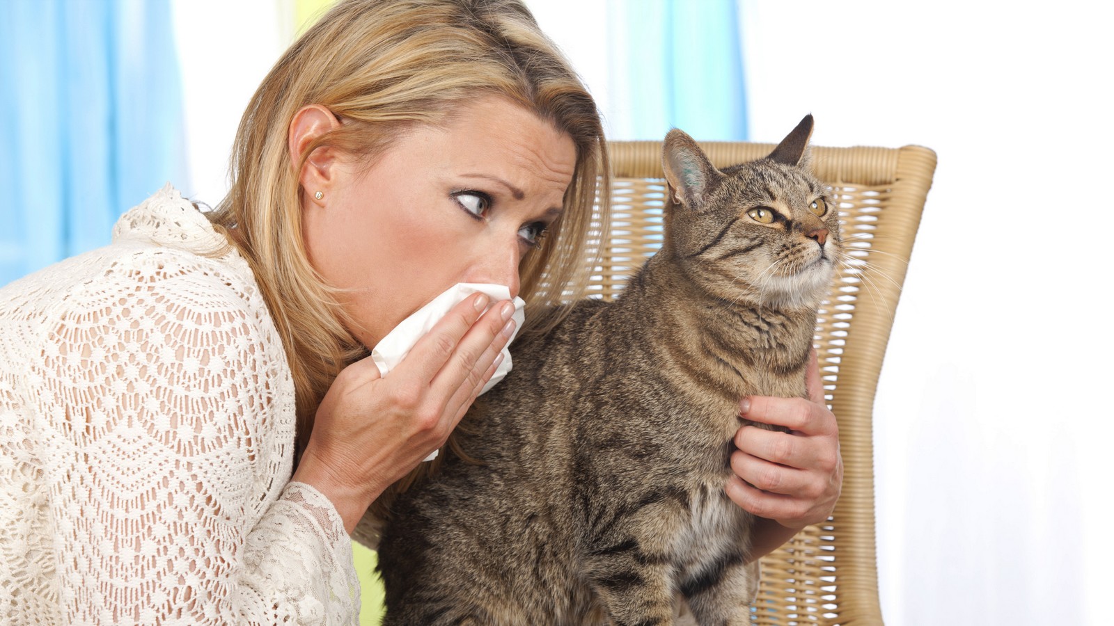 Bin ich allergisch gegen Katzen? Diese Indizien sprechen dafür 72 Katze