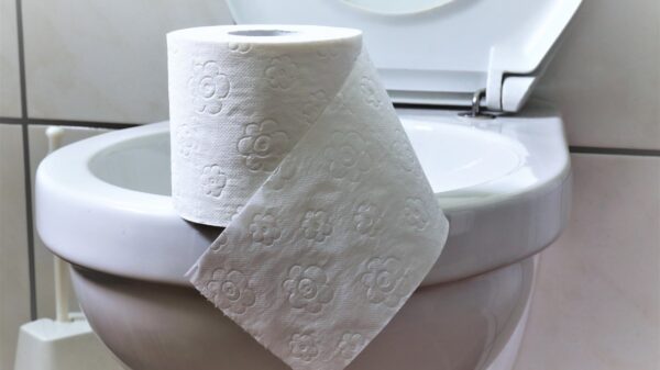 5 kuriose Fakten über Klopapier